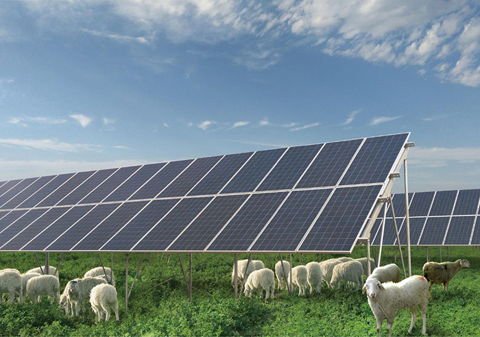 Solar energy for agriculture